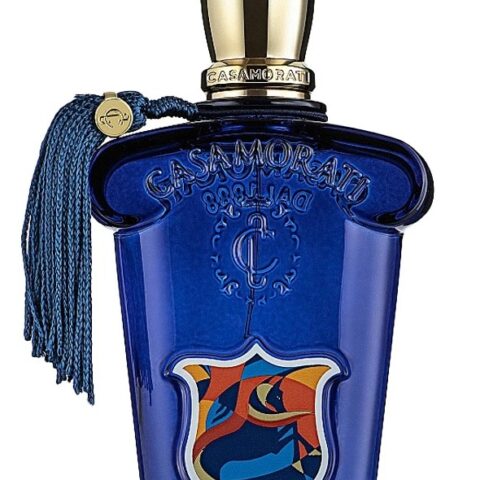 z3943387934495-50dcbf8ff15ba063766c539f90f78d57-1670481769853