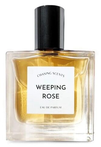 z4281046255453-7467e5a785e7c52272d13504a60e2503-1681992584144