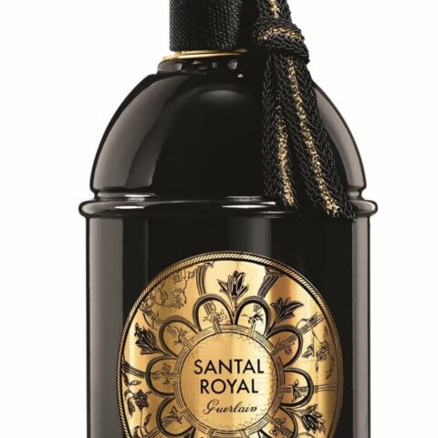 z4899196888647-77f03d4db3fee27b63375c0ec0d27264-1700485921466